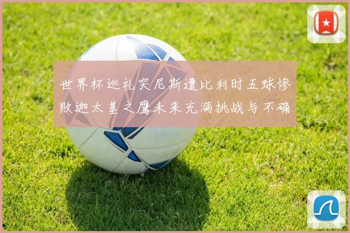 世界杯巡礼突尼斯遭比利时五球惨败迦太基之鹰未来充满挑战与不确定性