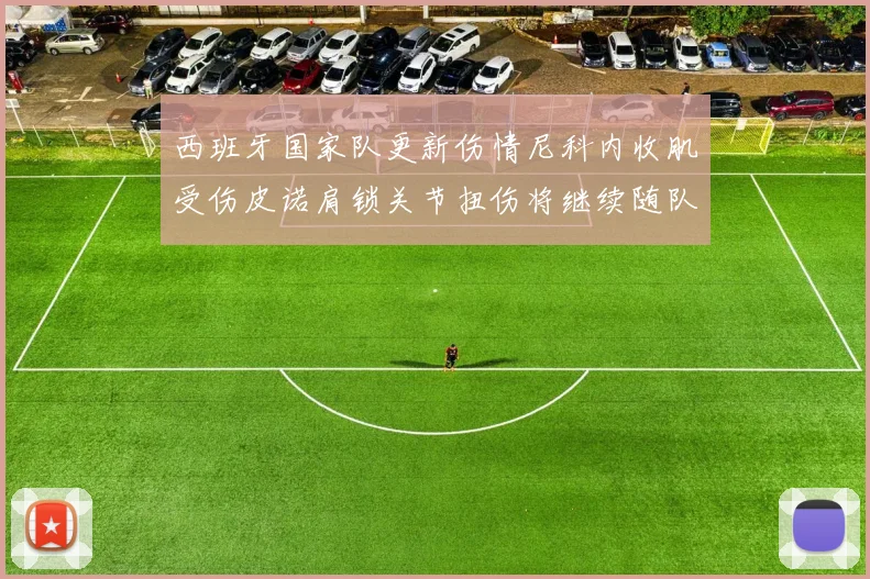 西班牙国家队更新伤情尼科内收肌受伤皮诺肩锁关节扭伤将继续随队训练