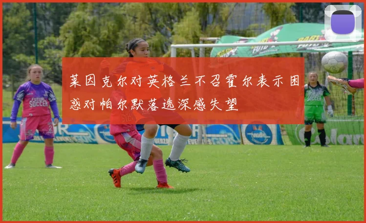 莱因克尔对英格兰不召霍尔表示困惑对帕尔默落选深感失望